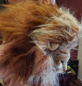 ♧ Pet Costume, XS, new